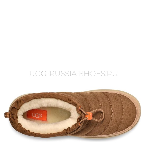 UGG Maxxer Mini Chestnut