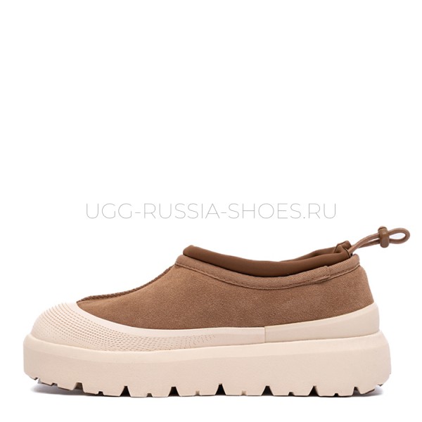 UGG Tasman Weather Hybrid - Chestnut  Whitecap